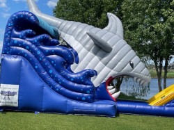 Shark Attack Slide