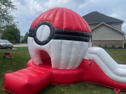 Poke Ball Mini combo