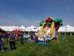 Tree House Giant Slide